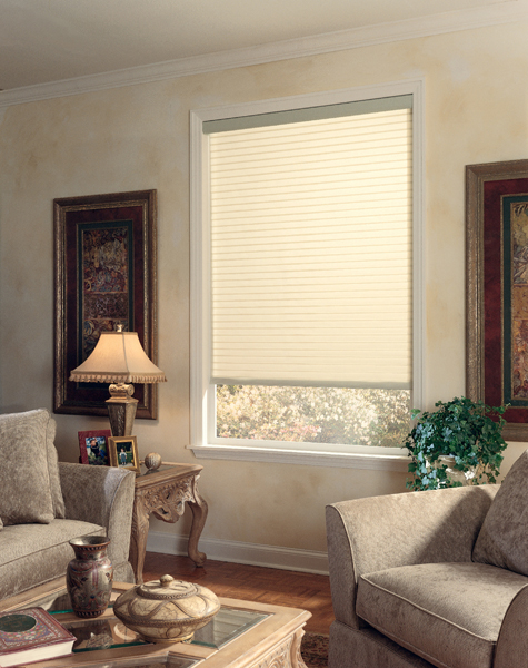 Living room with a light-filtering shade