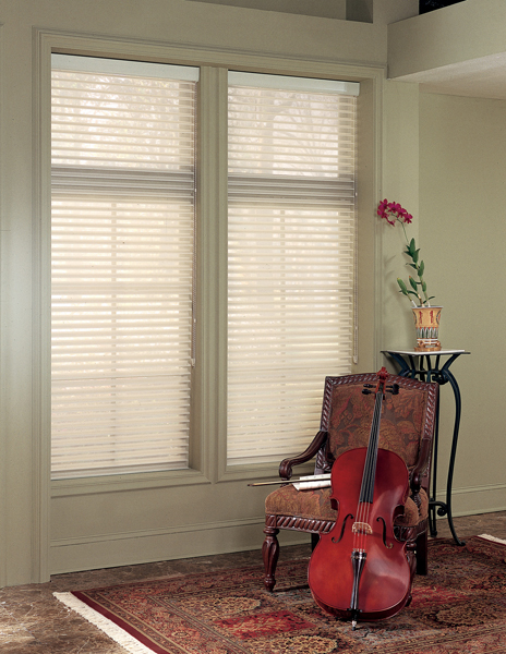 Music room with sheer shades