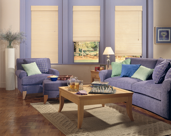 Living room with light-filtering shades