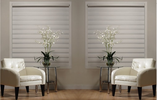 Dual Shades by Marcan Window Fashions